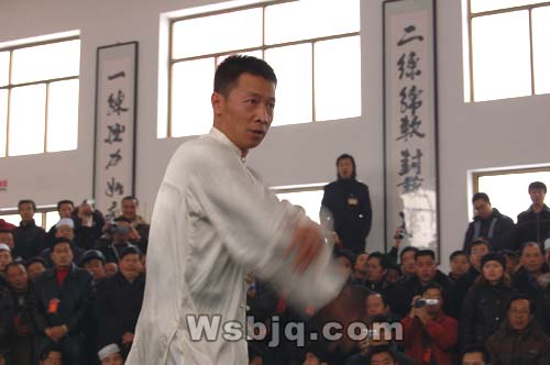 中华武术八极拳