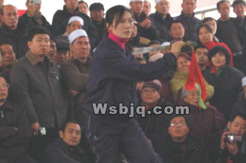 中华武术八极拳