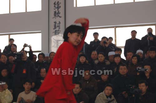 中华武术八极拳