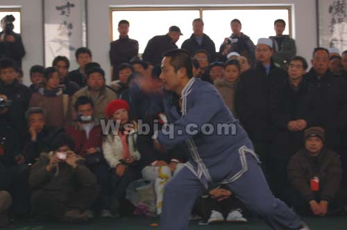 中华武术八极拳