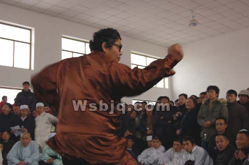 中华武术八极拳