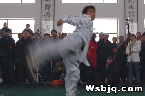 中华武术八极拳