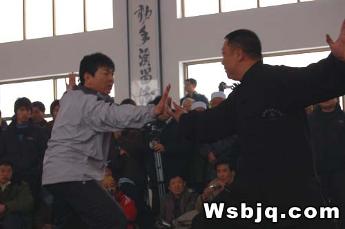 中华武术八极拳