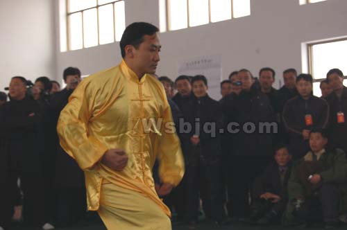 中华武术八极拳