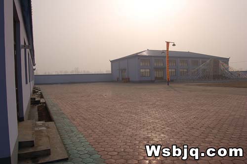 中华武术八极拳