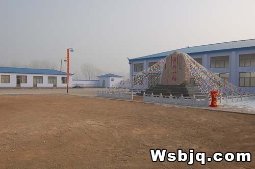 中华武术八极拳