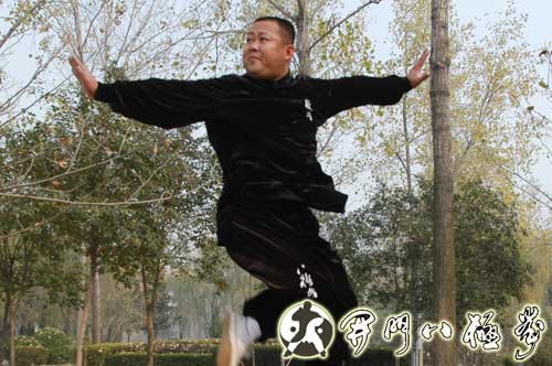 中华武术八极拳