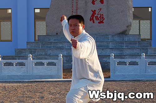 中华武术八极拳