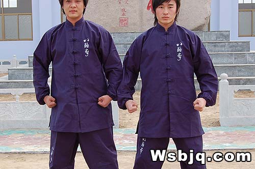 中华武术八极拳