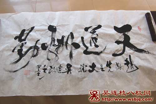 中华武术八极拳