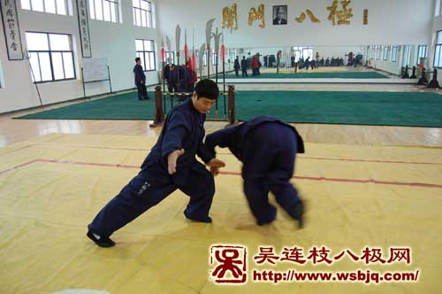 中华武术八极拳