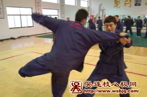 中华武术八极拳