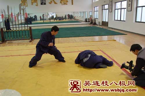 中华武术八极拳