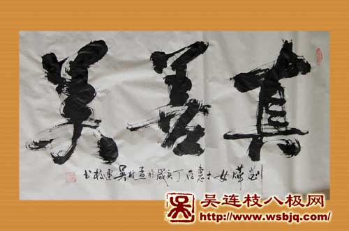 中华武术八极拳