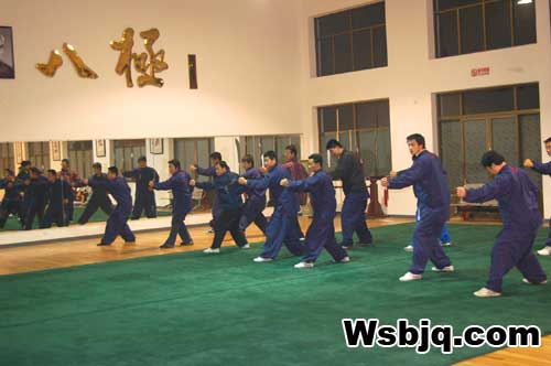 中华武术八极拳