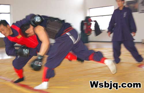 中华武术八极拳