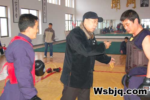 中华武术八极拳