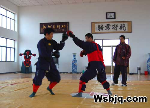 中华武术八极拳