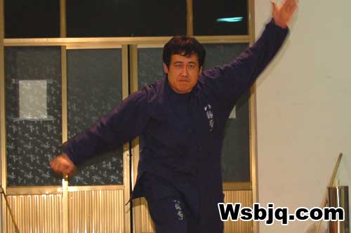 中华武术八极拳