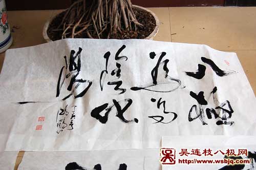 中华武术八极拳