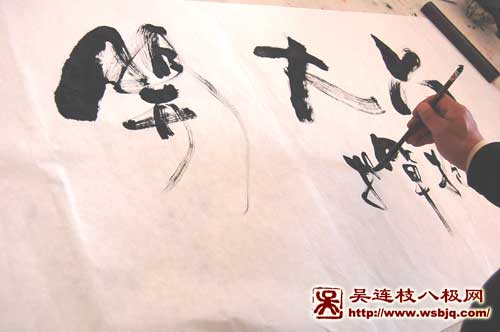 中华武术八极拳