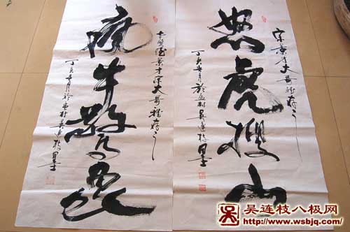 中华武术八极拳