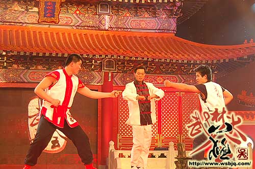 中华武术八极拳