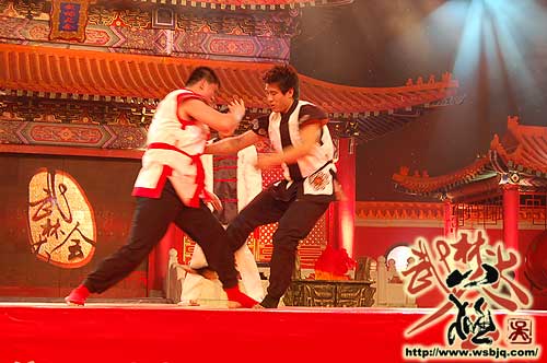 中华武术八极拳