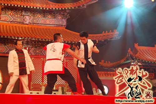 中华武术八极拳