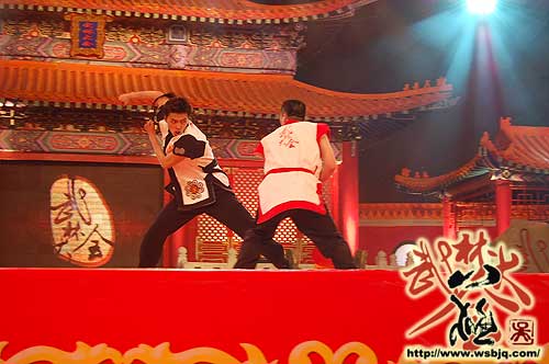 中华武术八极拳