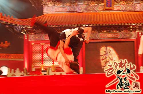 中华武术八极拳