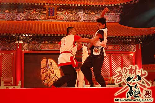 中华武术八极拳