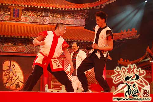 中华武术八极拳