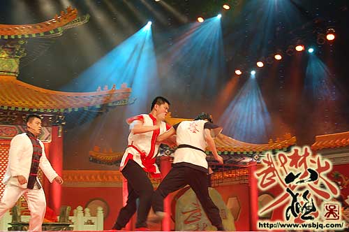 中华武术八极拳