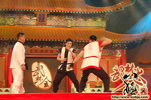 中华武术八极拳