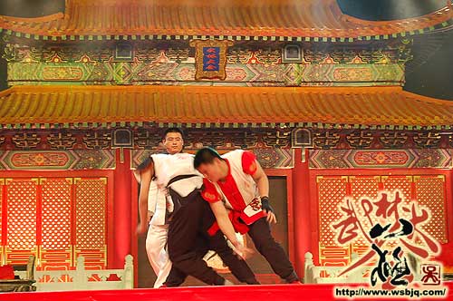 中华武术八极拳