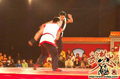 中华武术八极拳