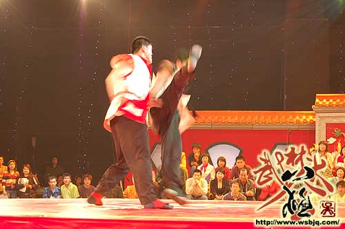 中华武术八极拳