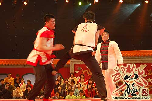 中华武术八极拳