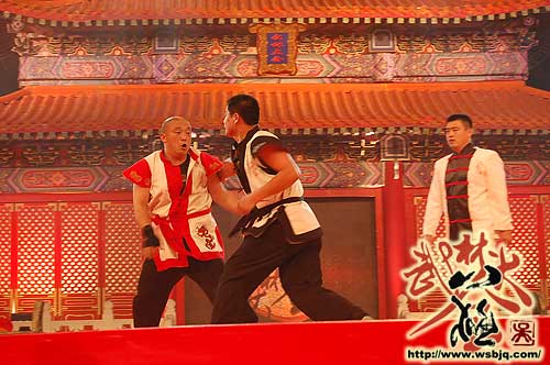 中华武术八极拳