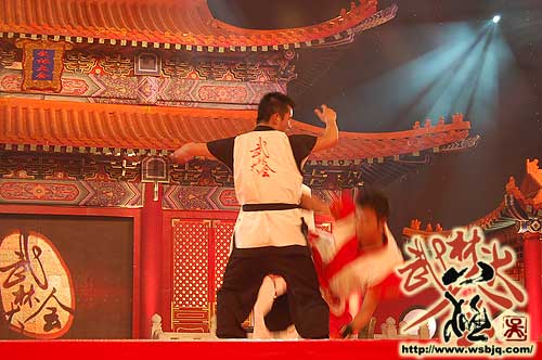 中华武术八极拳