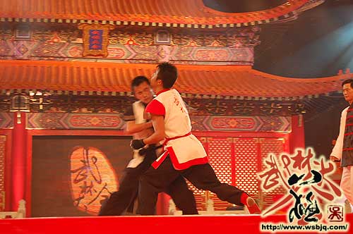 中华武术八极拳