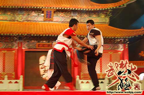 中华武术八极拳