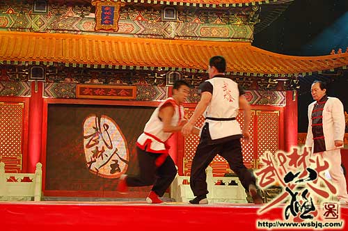 中华武术八极拳