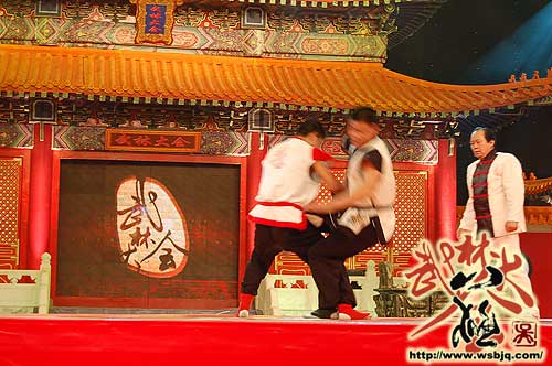 中华武术八极拳