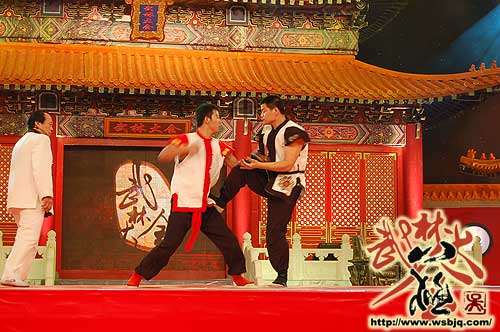 中华武术八极拳