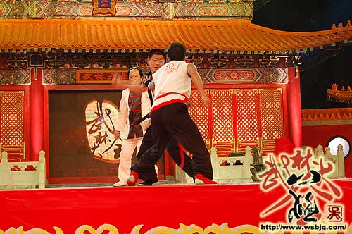 中华武术八极拳