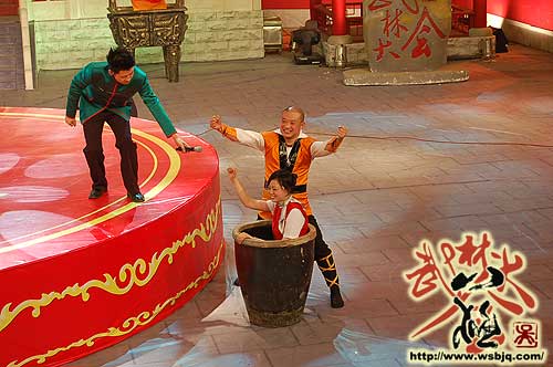 中华武术八极拳