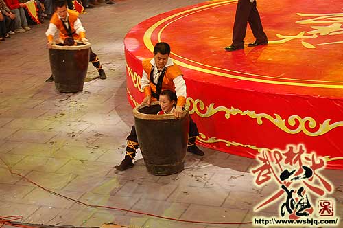 中华武术八极拳