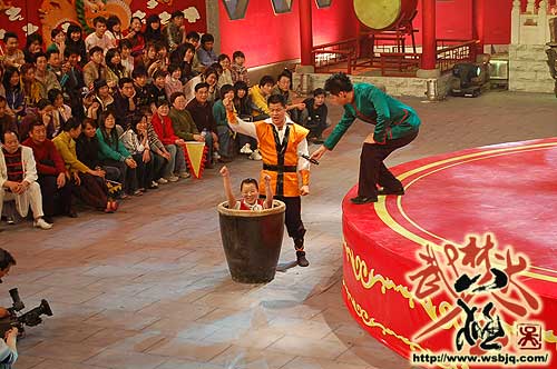 中华武术八极拳